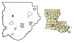 Location of Iota in Acadia Parish, Louisiana.