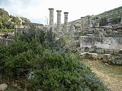 Archaeological Site of Cyrene-109028