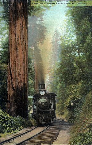 Big Tree station Southern Pacific