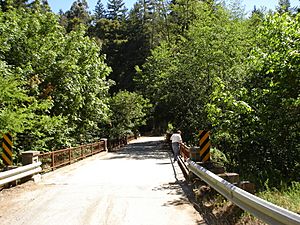 Bridge over Los Gatos Creek, Wrights Station Road, May 2008