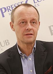 Friedrich Merz 2017