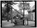 Historic American Buildings Survey E. W. Russell, Photographer, June 19, 1936 OLD WELL SWEEP (LEVER IN OPERATION) - Cotton Gin and Well Sweep, Cliatt Plantation, State Route 165, HABS ALA,57-COT.V,1-6
