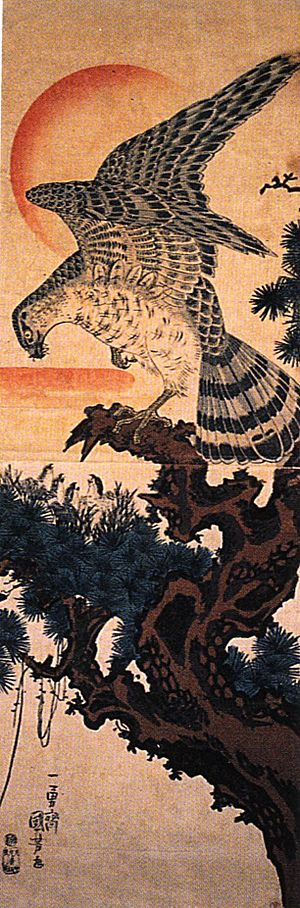 Kuniyoshi Utagawa, Hawk