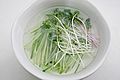 Musun (Korean radish sprout)