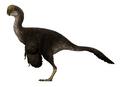 Oviraptor Restoration
