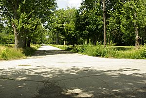 Abandoned Streets in Love Canal