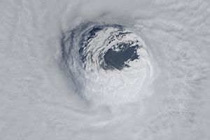 Astronaut Auñón-Chancellor's Photo of Hurricane Michael (45229616491)