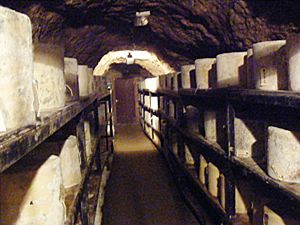 Cheeses stored at Wookey Hole Caves