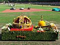Debrecen flower Holy Crown