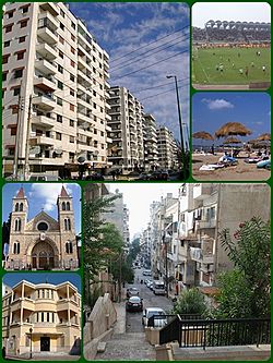 A Collage of Latakia