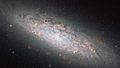 NGC 6503 HST