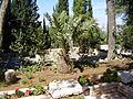 PikiWiki Israel 12300 avshalom feinberg grave on mount herzl