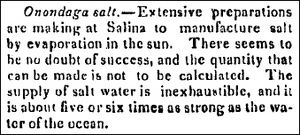 Syracuse 1822-0829 salt