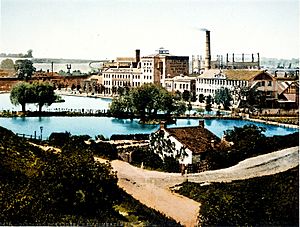 The Chemical Works at Dartford circa 1896 Wellcome L0021381