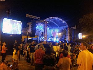 Fiestas Patronales de Cabo Rojo