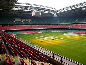 Inside the Millennium Stadium, Cardiff