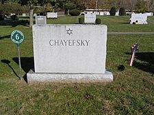 Paddy Chayefsky Monument November 2011