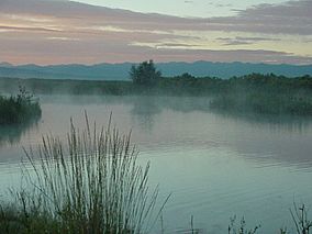 Blanca Wetlands Area of Critical Environmental Concern, Colorado (15476264730).jpg