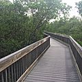Elevated Boardwalk, Weedon Island Preserve