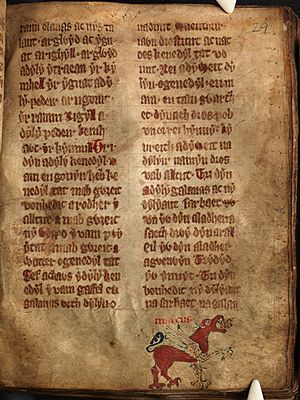 F. 29r. Welsh text of Laws of Hywel Dda