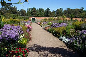 Herbaceous border in the walled garden at Floors Castle. - geograph.org.uk - 286913