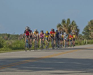 Large Biking Group On Lighthouse Road By Carole Robertson
