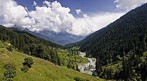 View of valley near Pahalgam town