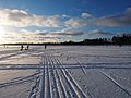 Skiing on the ice in Haukilahti