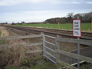 Stop, look and listen - Beware of the trains. - geograph.org.uk - 651260
