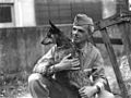 US Soldier with cattle dog