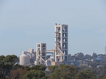 Cockburn Cement Munster seen from Lake Coogee, July 2021 02.jpg