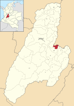 Location of the municipality and town of Flandes in the Tolima Department of Colombia.