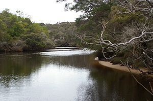 Donnelly River 2