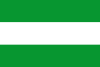 Flag of Charta