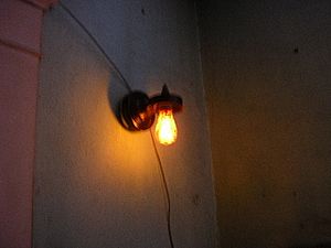 Mangumlightbulb