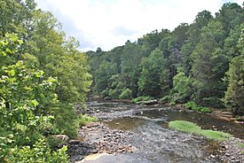 Meadow River at Russellville.jpg