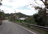 Panorama en el Barrio Montes Llanos, Ponce, PR (DSC01651)