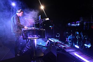 Shepard Fairey DJing - shot by Kris Krug