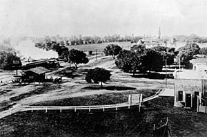 University Avenue at the Circle with train steaming toward El Palo Alto, 1894