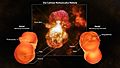 3D Homunculus Nebula