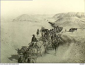 British and Indian troops cross through the Jebel Hamarin pass, Mesopotamia