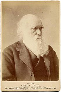 Charles Darwin photograph by Elliott and Fry, circa 1875
