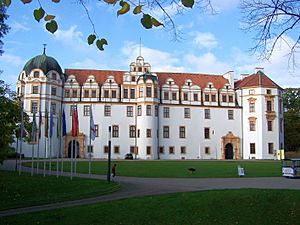 Das Schloss in Celle