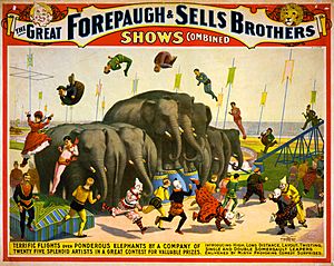 Flickr - …trialsanderrors - Terrific flights over ponderous elephants, poster for Forepaugh ^ Sells Brothers, ca. 1899