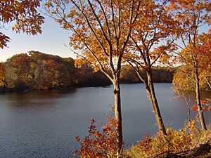 Westons Mill Pond in Westons Mills