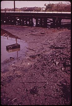 OIL-SOAKED MUD LINES INDUSTRIAL CANAL IN GRAVESEND BAY AREA OF BROOKLYN - NARA - 547897