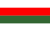 Flag of Piła