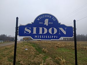 Sidon Welcome Sign.jpg