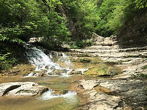 Walls of Jericho Tennessee