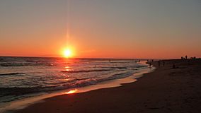 Bolsa Chica State Beach sunset.jpg